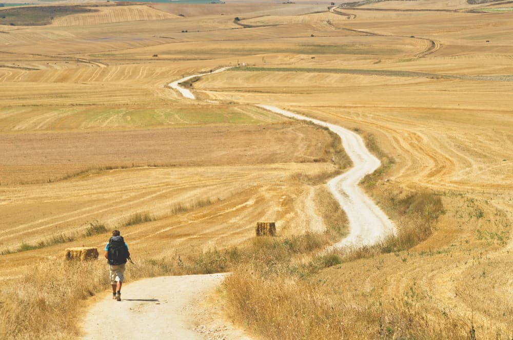 El Camino de Santiago - Galicien i Spanien