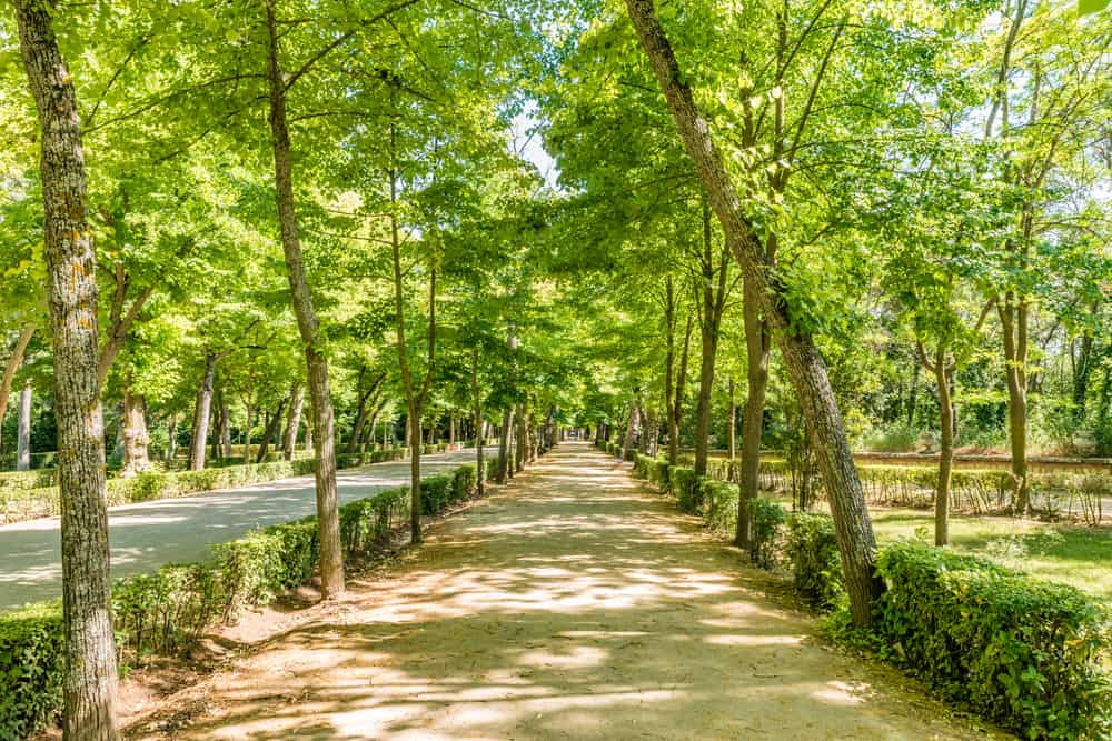 Jardin del Principe Aranjuez - Spanien