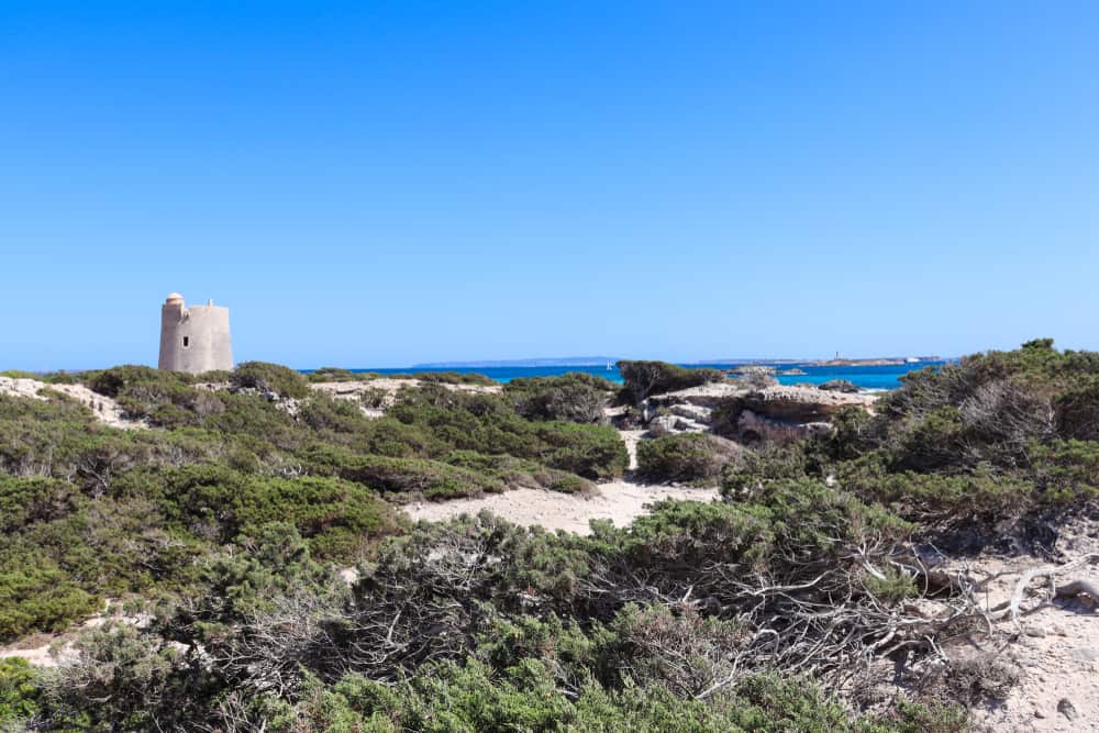 Las Salinas stranden - Spanien