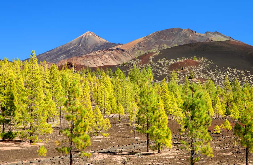 Tenerife i Spanien